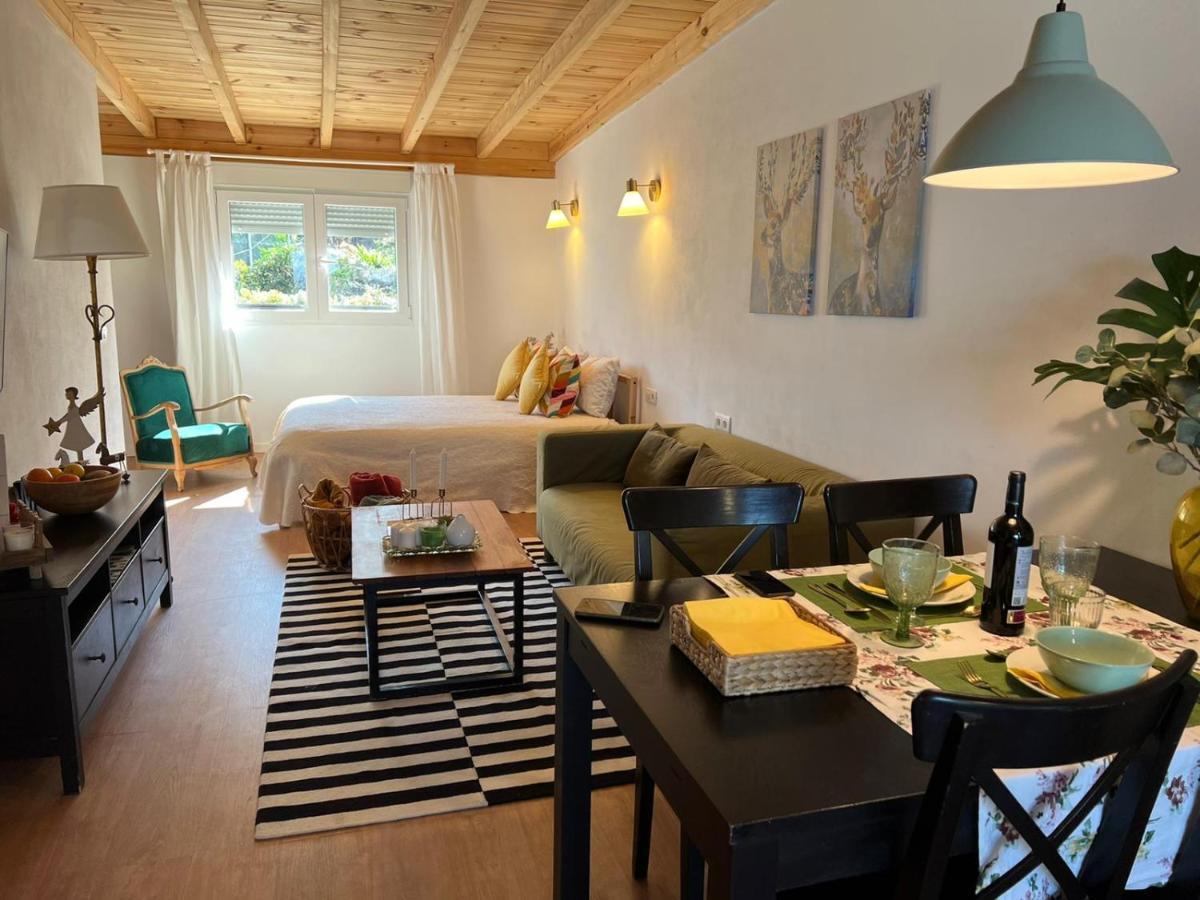 Casa Chano Estudio Confortable Tenerife Икод-де-лос-Винос Экстерьер фото