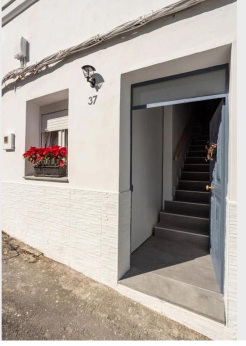 Casa Chano Estudio Confortable Tenerife Икод-де-лос-Винос Экстерьер фото